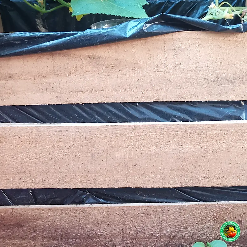 Raised Beds